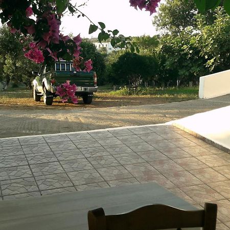 Theofilos Appartements Livadi  Rom bilde